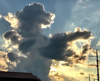 梅雨明けですよ