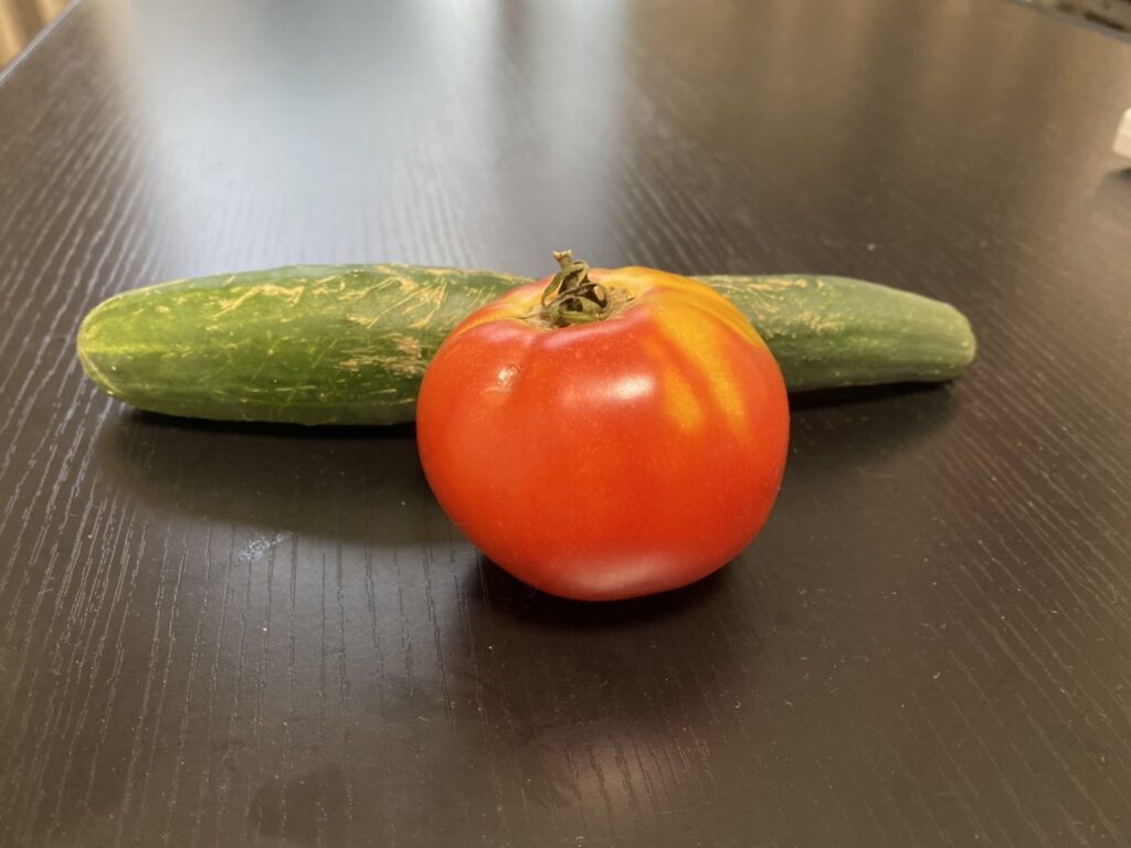 夏野菜で夏バテ防止