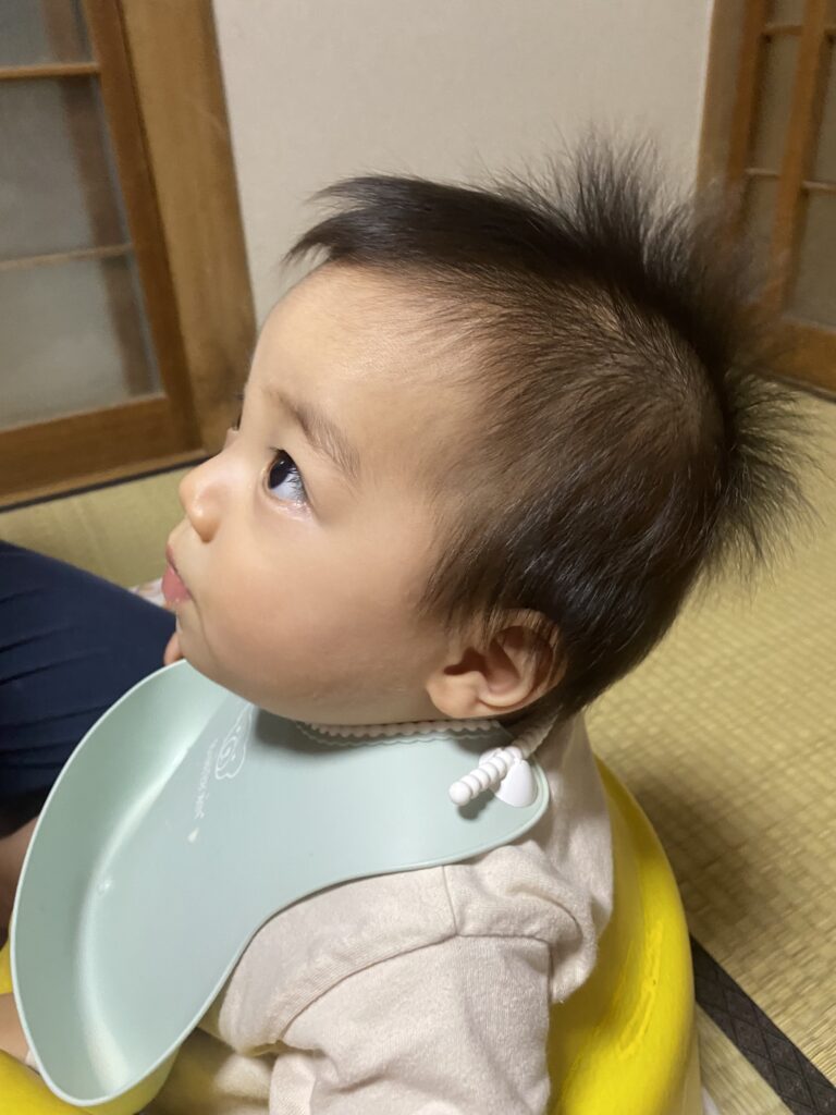 成長著しい甥っ子君。