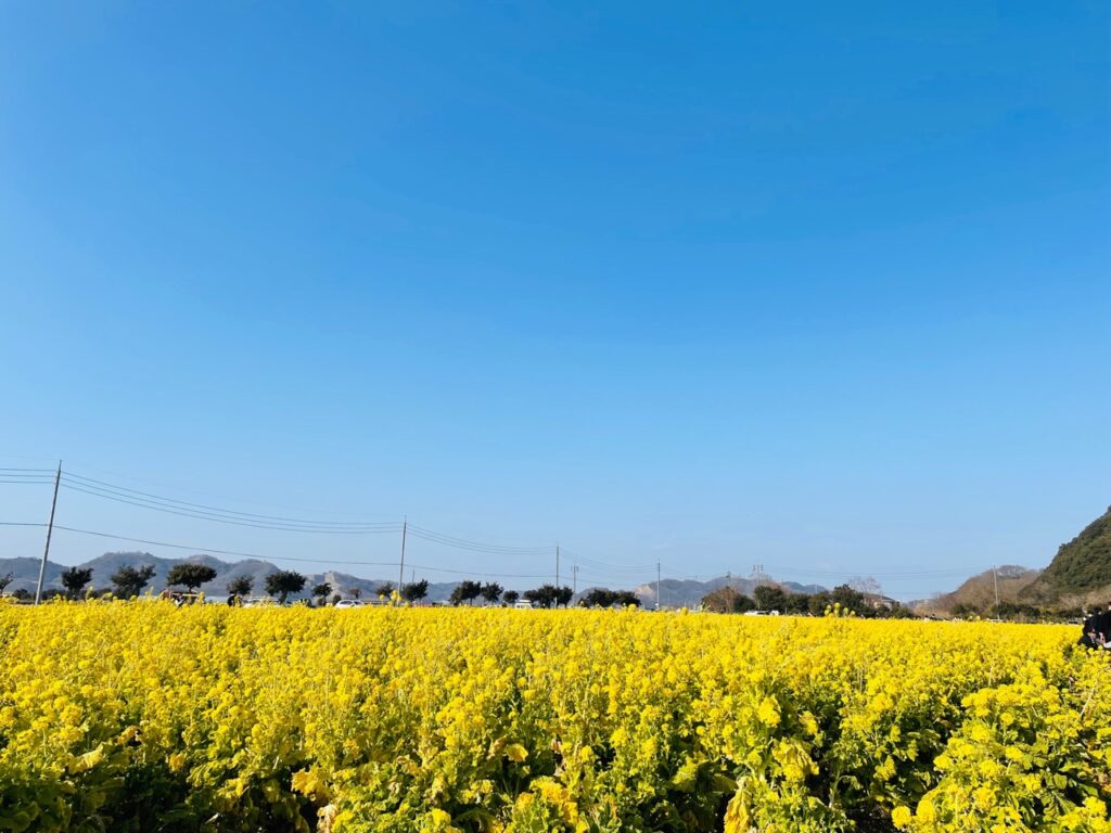 弥生３月はじまりはじまり